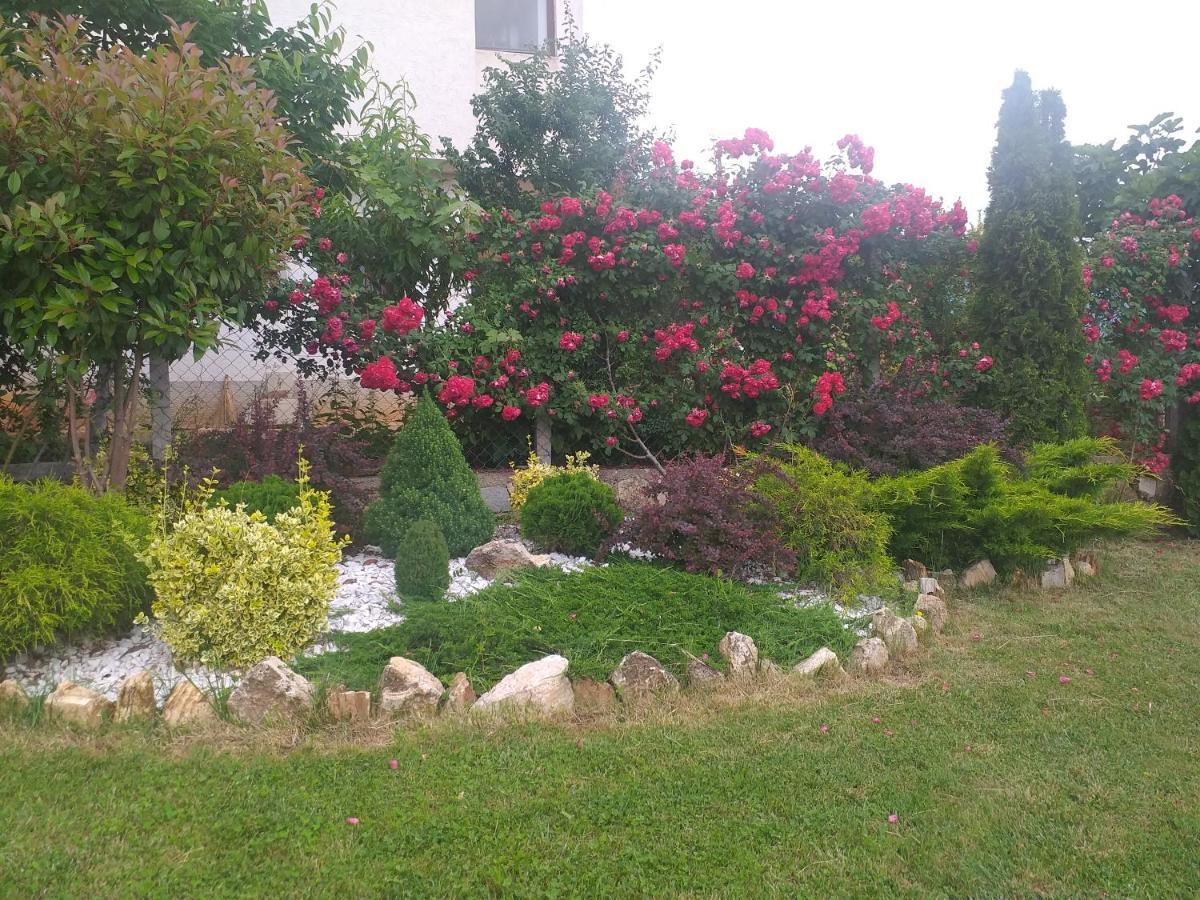 Villa Silva Охрид Экстерьер фото